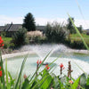 Image of Kasco 3/4HP Aerating Fountain 3400VFX with V-Shape Pattern Operating in a Pond Surrounded by Plants