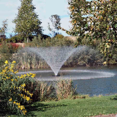 Kasco 3/4HP Aerating Fountain 3400VFX with V-Shape Pattern Operating in a Pond Surrounded by Plants