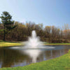 Image of Kasco 3-Phase 7HP Decorative Fountain 7.3JF 230V with Balsam Pattern Operating in a Pond with Trees at the Back