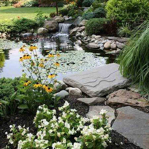 EasyPro Medium Pond Kit - Complete for 11' X 16' Pond EM1116FB Sample Installation