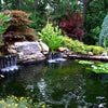 Image of EasyPro Medium Pond Kit - Complete for 11' X 16' Pond EM1116FB Sample Installation