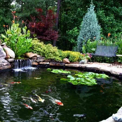 EasyPro Medium Pond Kit - Complete for 21' X 26' Pond EM2126FB Sample Installation