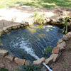 Image of EasyPro Mini Pond Kit - Complete for 6' X 10' Pond ET610FB Sample Installation