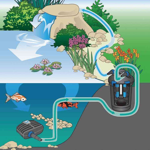 Oase AquaMax Eco Classic 1900 Pond Pump Suggested Installation 57620