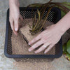 Image of Oase Aquatic Plant Basket For Landscaping 45386 Sample Installation