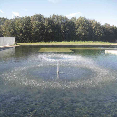 Oase Nozzle - Lava 30 - 10 E for Oase Fountains 50889 Sample Installation in a Pond