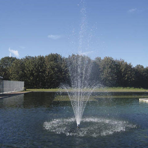 Oase Nozzle - Vulcan 43 - 3 Silver for Oase Fountains 50766 Sample installation in a pond