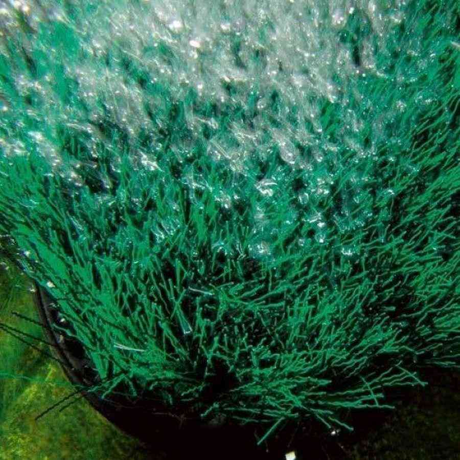 Oase OxyMax 200 Pompa D’aria Per Acquari – 41849, Portata Regolabile, Molto Silenziosa, Installabile In Piedi O Sospesa, Per Acqua Dolce E Salata