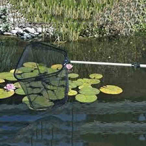 Oase Pond Net for Cleaning and Maintenance 46934 Sample Use