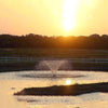 Image of Scott 1.5HP Display Aerator Operating in a Pond Shown from Afar in the Sunset DA-20 14022