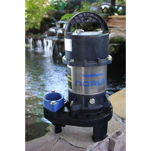 ShinMaywa 1/5 HP Pump - 50CR2.15S Beside a Pond