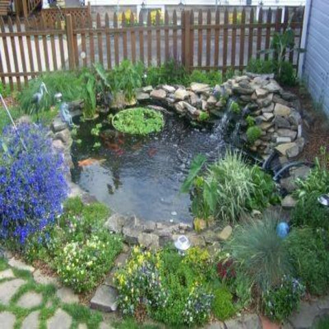 EasyPro Small Pond Kit - Complete for 11' X 11' Pond ES11AFB Sample Installation