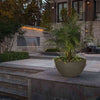 Image of Top Fires Round Concrete Luna Planter Bowl by The Outdoor Plus OPT-LUNPO30 OPT-LUNPO38 Sample Installation