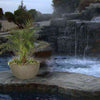 Image of Top Fires Round Concrete Luna Planter Bowl by The Outdoor Plus OPT-LUNPO30 OPT-LUNPO38 Sample Installation